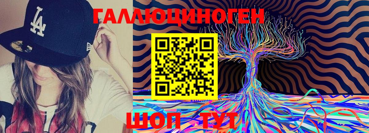 Псилоцибиновые грибы Cubensis Майский